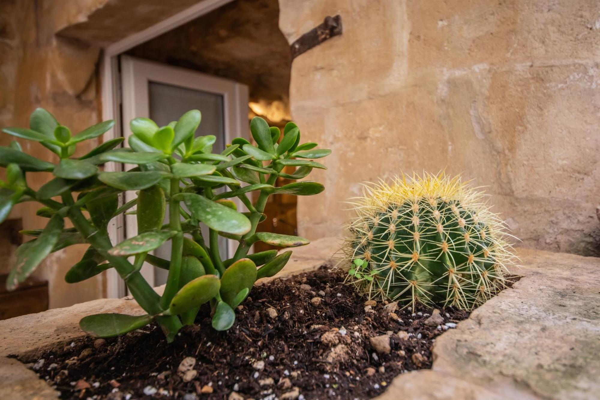 Suite San Biagio Nei Sassi Matera Bagian luar foto